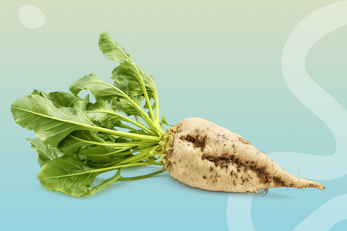 Ingredient Spotlight: Betaine